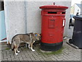 Thurso: postbox № KW14 69