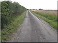 The road to Wootton Dale