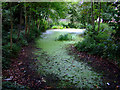 Pond off Apton Road