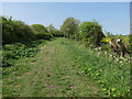 Fen Side byway