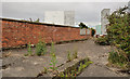 Old shipyard wall, Belfast (3)