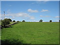 Fields opposite Lower Pitts Farm