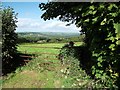 Footpath and view towards Lampeter Velfrey