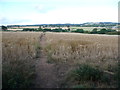 View over Kinlet and Kinlet Park