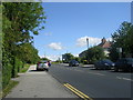 Church Avenue - viewed from Church Lane