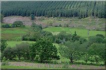 SH8216 : Fields around Pentrewern farm by Nigel Brown