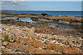 Foreshore near Linton Court