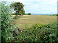 View west from Longridge