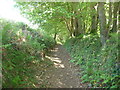 Old sunken way near the Afon Aeron