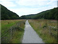 Part of the cycleway in the valley of the Afon Aeron