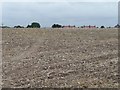 Stubble field on the north side of Cliff Hill