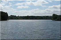 ST3310 : Chard: Chard Reservoir by Martin Bodman