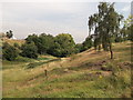 Valley in Plumstead Common