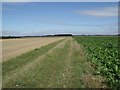 Track from Howell Fen Drove to Hodge Drain