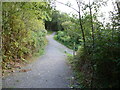 Junction of paths above the Ceredigion coast