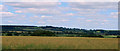 2011 : Wheatfield north of Brottens Road