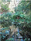 TQ8512 : Pond in Mallydams Wood by Oast House Archive