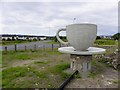 C2220 : A large cup, Ramelton by Kenneth  Allen