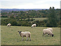 View from near Arnold Lodge trig point