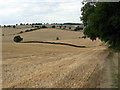 Landscape near Woodborough Park