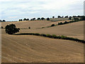 Landscape near Woodborough Park