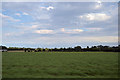 SE5035 : Farmland at Windy Ridge Farm by John Firth