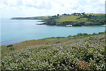 SW7929 : View across Maenporth by Graham Horn