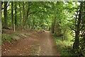 TL1330 : Path alongside the privately owned woodland by Robert Matin