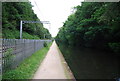 Towpath, Worcester and Birmingham Canal