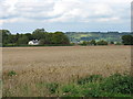 Farmland above East Harptree