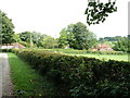 View from the churchyard gates at Shalden