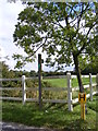 Footpath to Bullswood Lane Byway