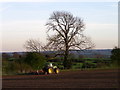 Rolling near Sawley