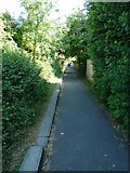 SU5305 : Mid section of the path from Coach Hill to West Street by Basher Eyre