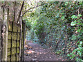 Lower Bredbury, Path Behind Sargent Road