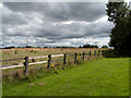 Fence and field at east side of Birch Services