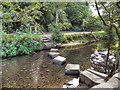 Stepping Stones Crossing Lady Brook