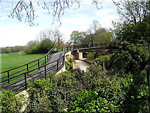 SJ8561 : Golfers' bridge by Jonathan Kington