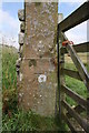 SD7078 : Benchmark on gatepost opposite Yordas Cave, Kingsdale by Roger Templeman