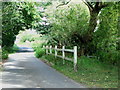 Wooden fence over stream near Ringmer