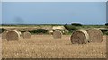 Round bales, Boulmer