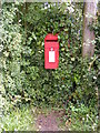 Dog Corner Postbox