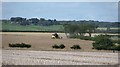 NU2412 : Harvest, Lesbury by Richard Webb