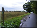 Footpath along New Road