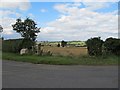 Holdenby Farmland