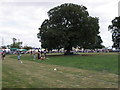 Arena trees at the Heckington Showground