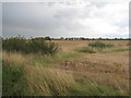 View towards South Killingholme