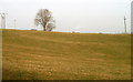 Sloping canalside field between Cwmbran and Pontypool