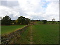 Field-edge footpath, Whin Moor