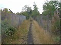 Path beside railway